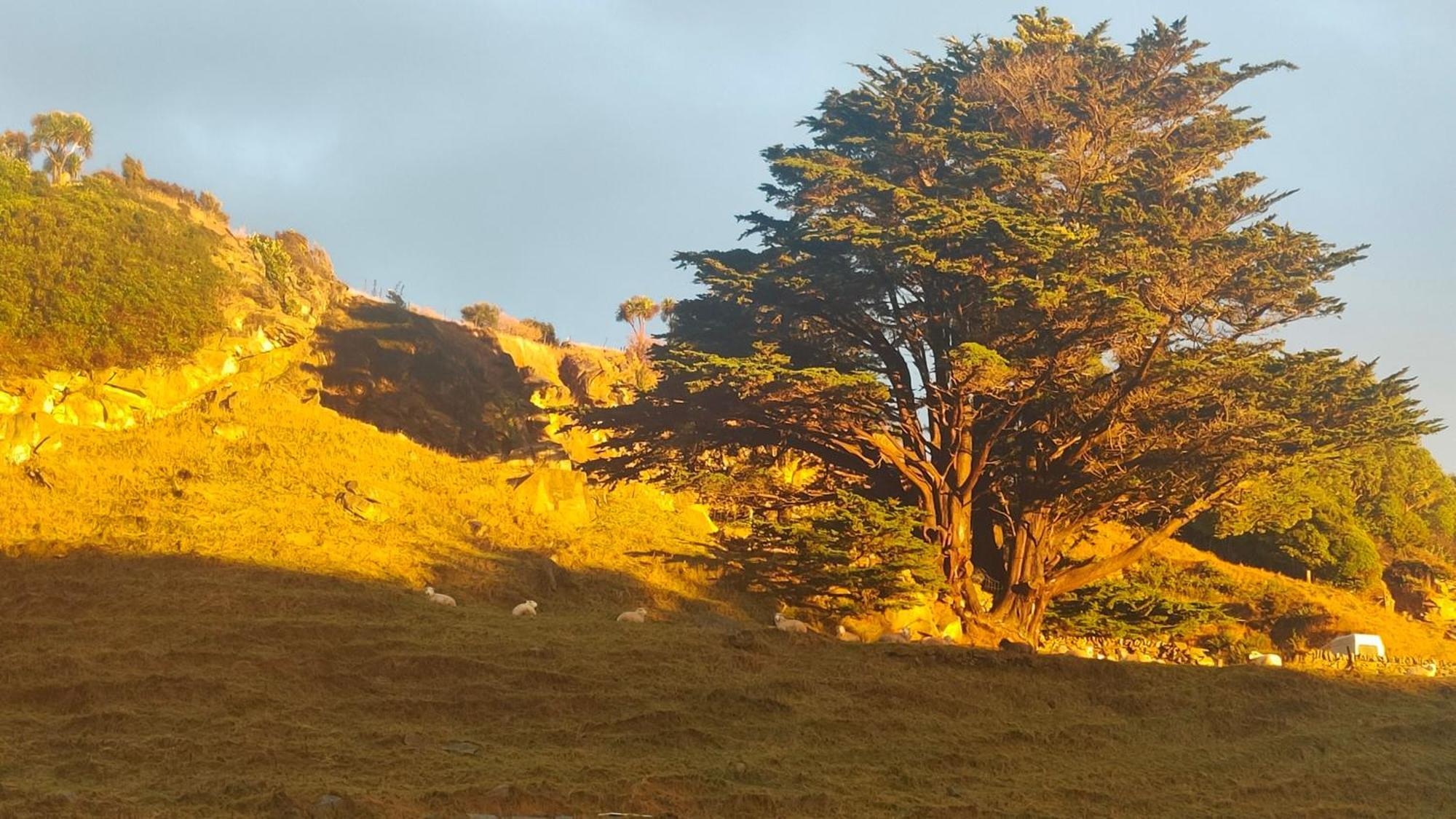 شقة Pukemara Retreat Sandymount المظهر الخارجي الصورة