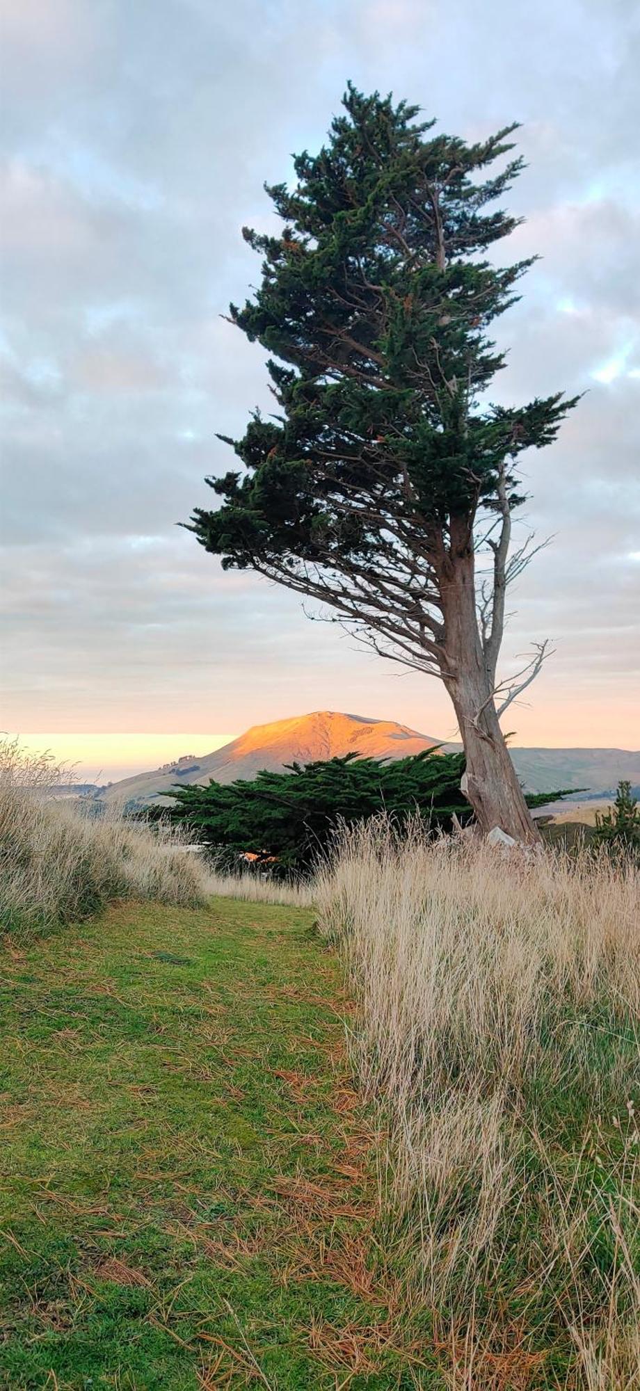 شقة Pukemara Retreat Sandymount المظهر الخارجي الصورة