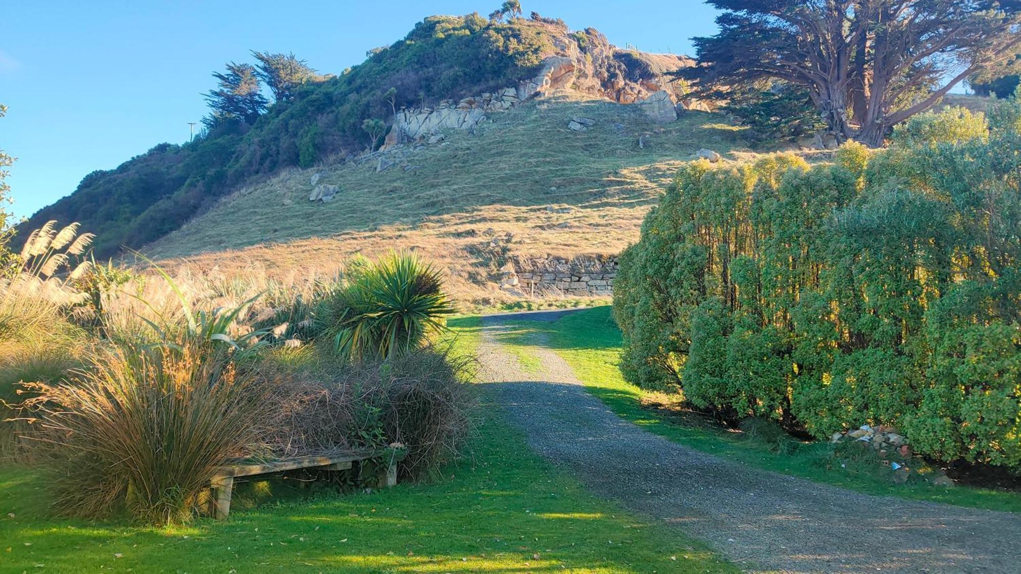 شقة Pukemara Retreat Sandymount المظهر الخارجي الصورة