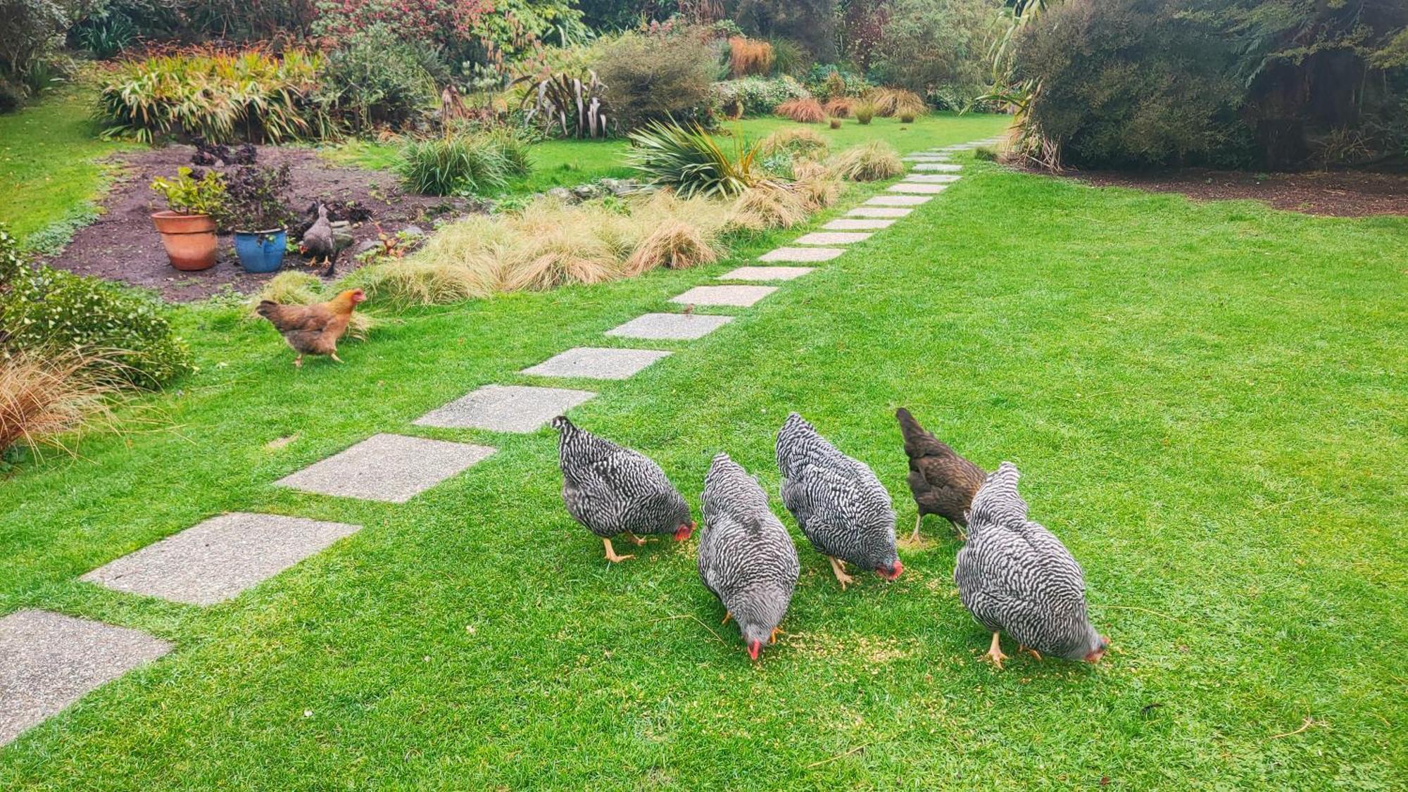 شقة Pukemara Retreat Sandymount المظهر الخارجي الصورة